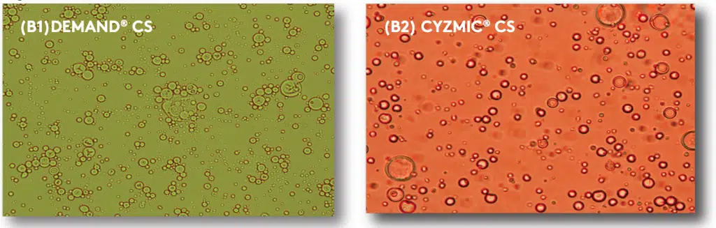 Cyzmic CS with CapVantage Technology vs Demand CS