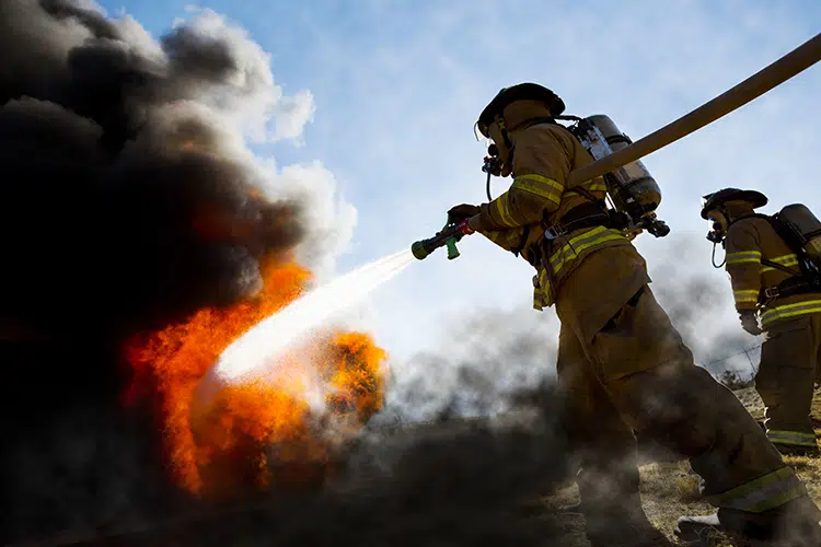 Fighting Fire and Mosquitoes
