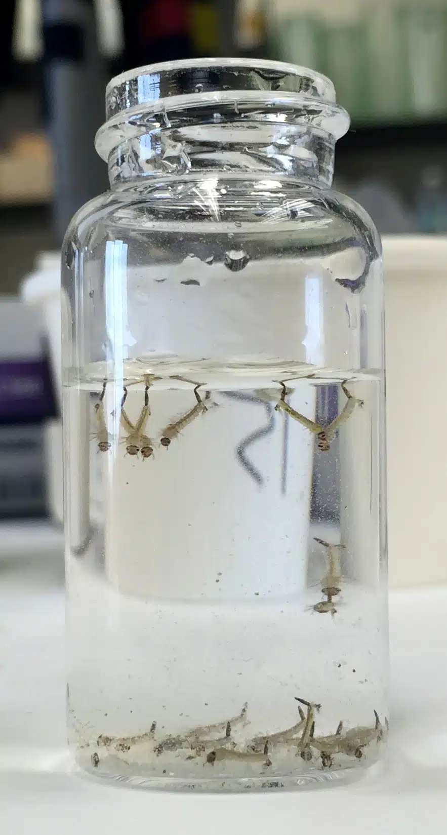 Resistance Resource Center