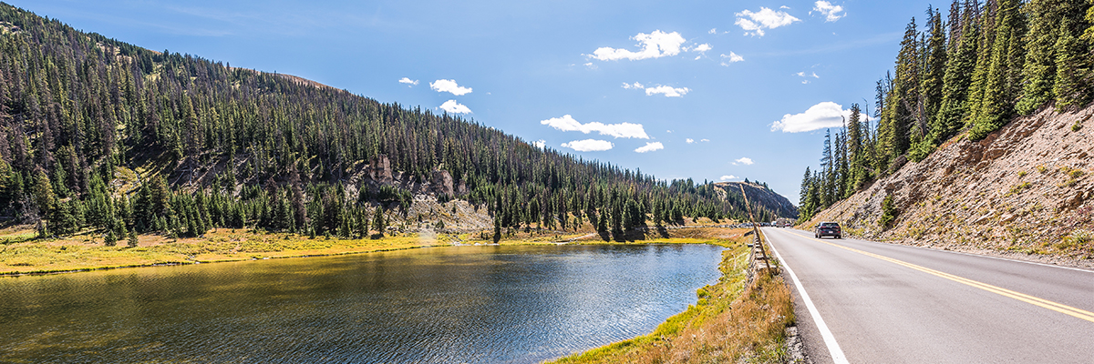 Fall Roadside Application