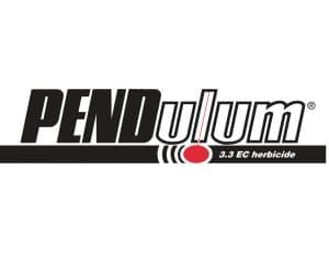 Pendulum