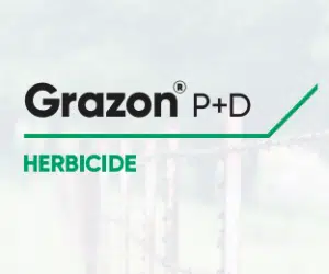 Screen Shot 2021 02 19 at 4.23.46 PM