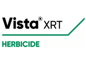 Screen Shot 2021 03 26 at 11.36.55 AM