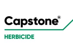 Screen Shot 2022 01 21 at 11.22.17 AM