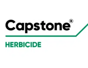 Screen Shot 2022 01 21 at 11.22.17 AM