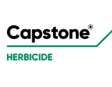 Screen Shot 2022 01 21 at 11.22.17 AM