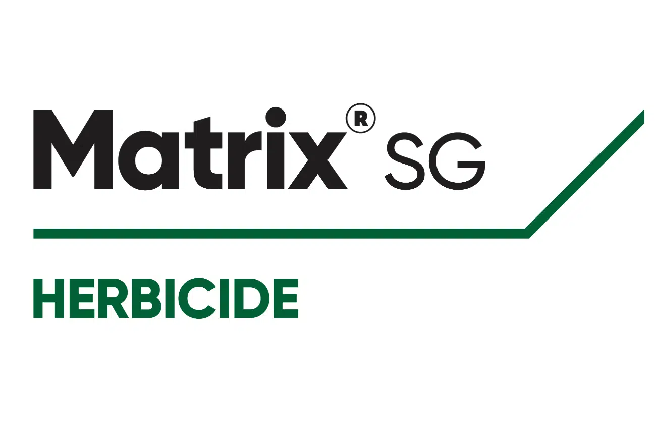 Matrix SG