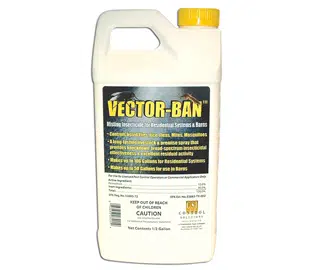 Vector-Ban