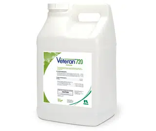 Veteran 720