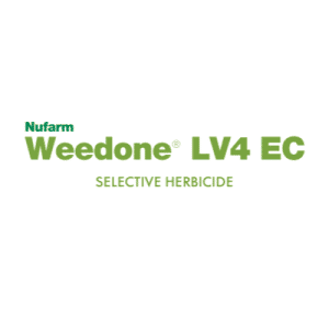Weedon