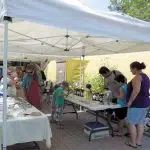 Zoo tables