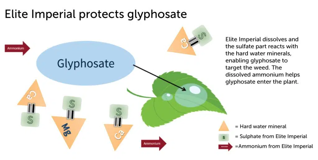water quality for herbicides