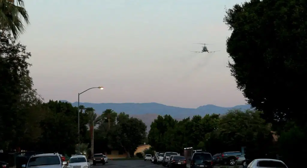 Mosquito Bytes: Coachella