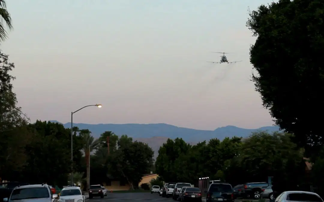 mosquito bytes coachella img