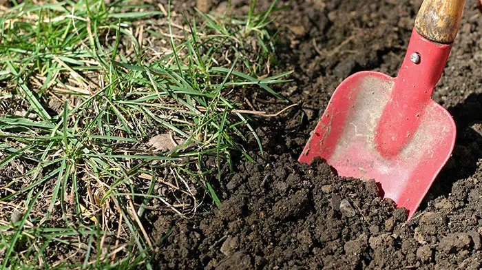 Soil Testing