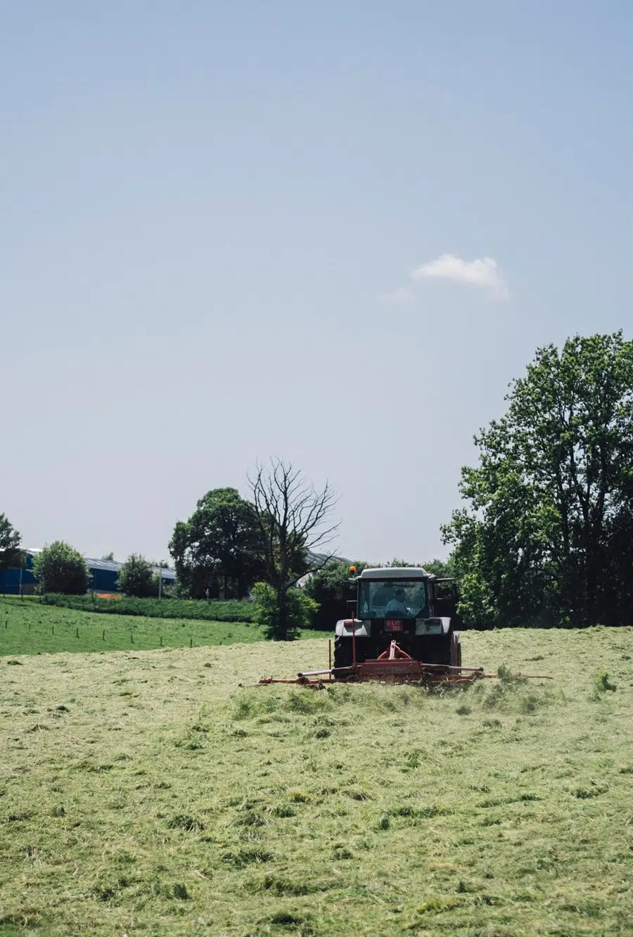 Bahia Grass – A Tool or a Weed?