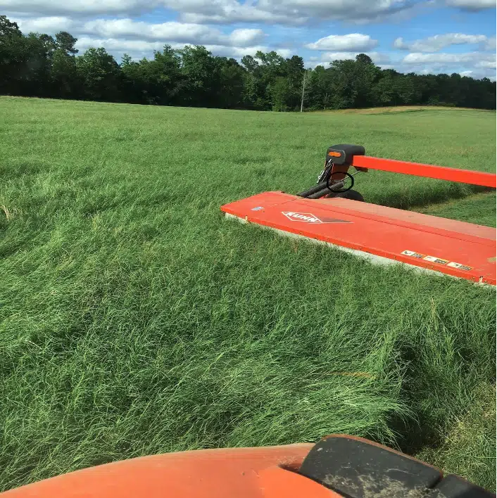 Maximize the Productivity of Your Acres with Fertilization
